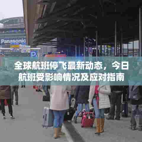 全球航班停飞最新动态，今日航班受影响情况及应对指南