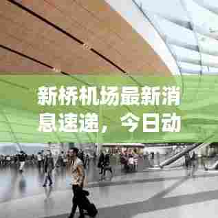 新桥机场最新消息速递,今日动态一网打尽