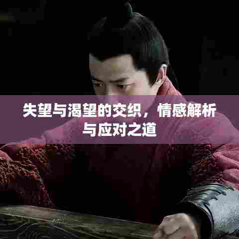 失望与渴望的交织，情感解析与应对之道