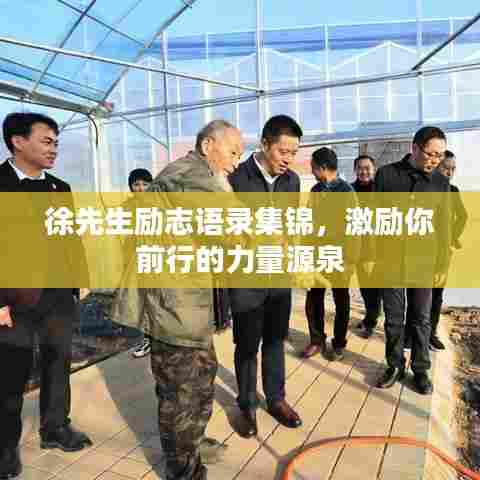 徐先生励志语录集锦，激励你前行的力量源泉