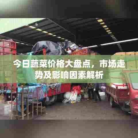 今日蔬菜价格大盘点，市场走势及影响因素解析