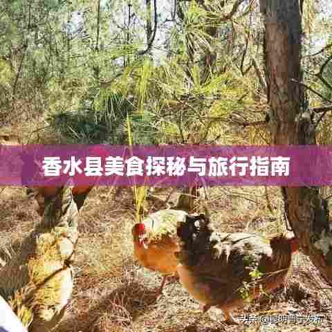 香水县美食探秘与旅行指南
