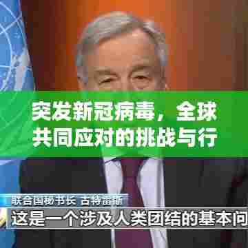 突发新冠病毒，全球共同应对的挑战与行动