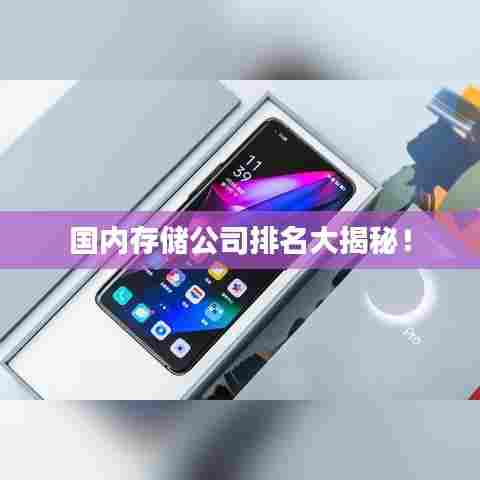 国内存储公司排名大揭秘！