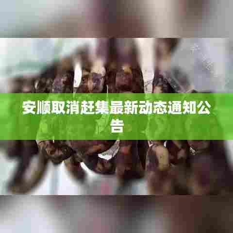 安顺取消赶集最新动态通知公告
