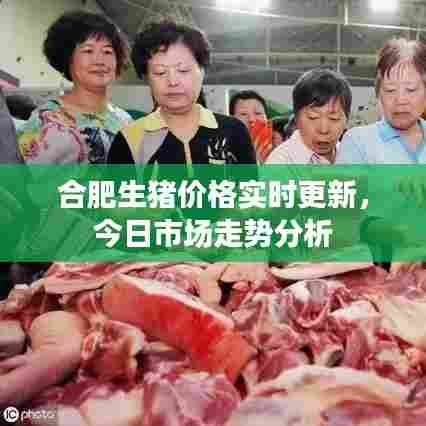 合肥生猪价格实时更新，今日市场走势分析