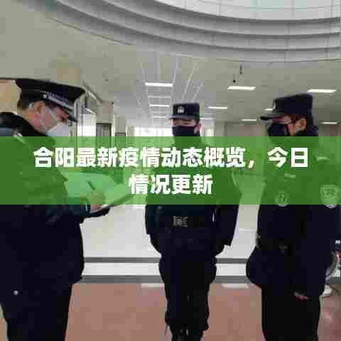 合阳最新疫情动态概览，今日情况更新