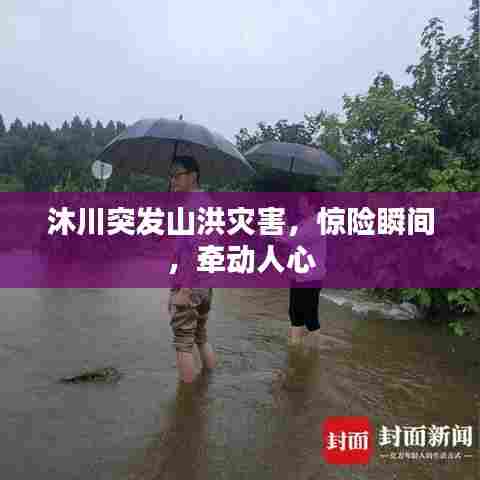 沐川突发山洪灾害，惊险瞬间，牵动人心