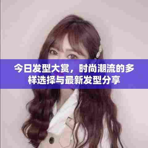 今日发型大赏，时尚潮流的多样选择与最新发型分享
