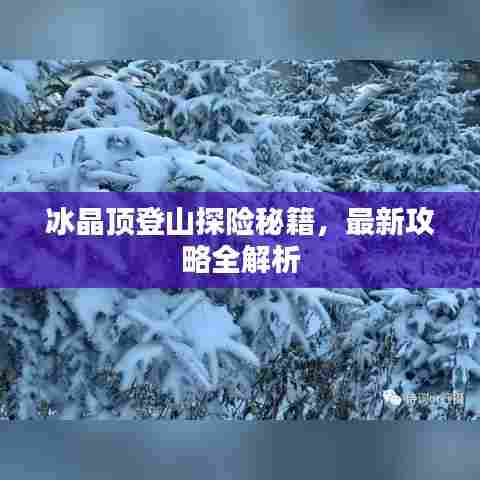 冰晶顶登山探险秘籍，最新攻略全解析