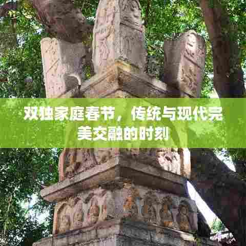 双独家庭春节，传统与现代完美交融的时刻