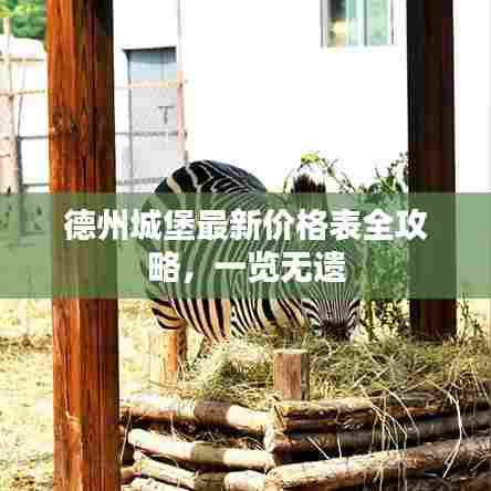 德州城堡最新价格表全攻略，一览无遗
