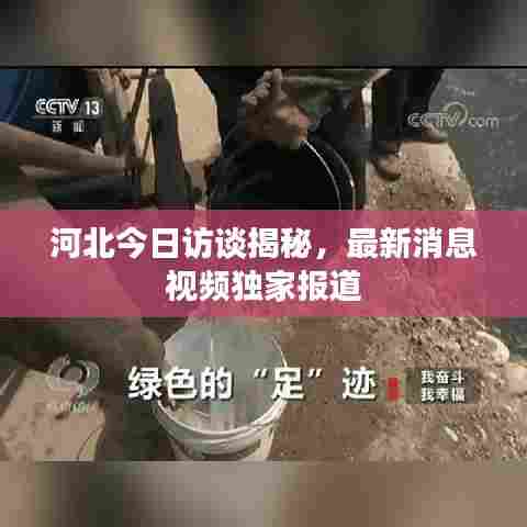 河北今日访谈揭秘，最新消息视频独家报道