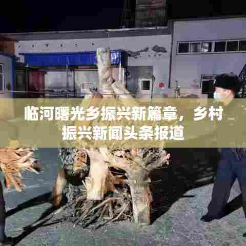 临河曙光乡振兴新篇章，乡村振兴新闻头条报道