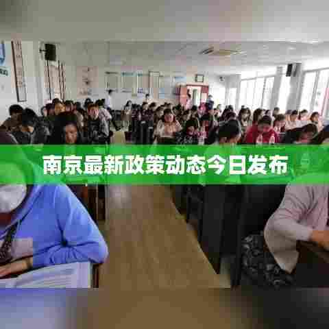 南京最新政策动态今日发布