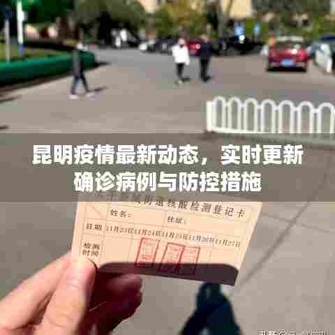 昆明疫情最新动态，实时更新确诊病例与防控措施