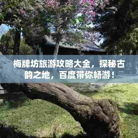 梅牌坊旅游攻略大全，探秘古韵之地，百度带你畅游！