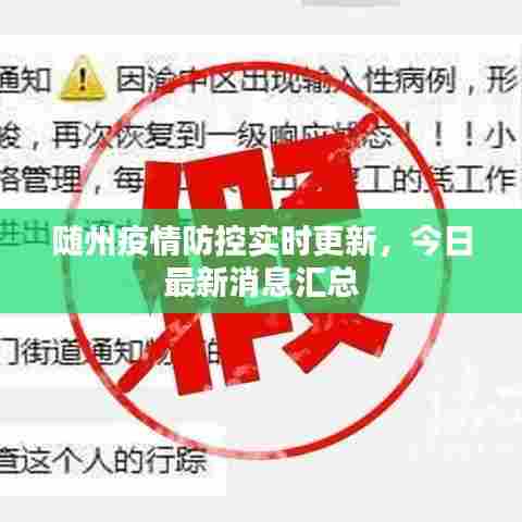 随州疫情防控实时更新，今日最新消息汇总