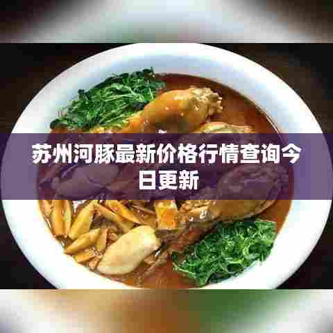 苏州河豚最新价格行情查询今日更新