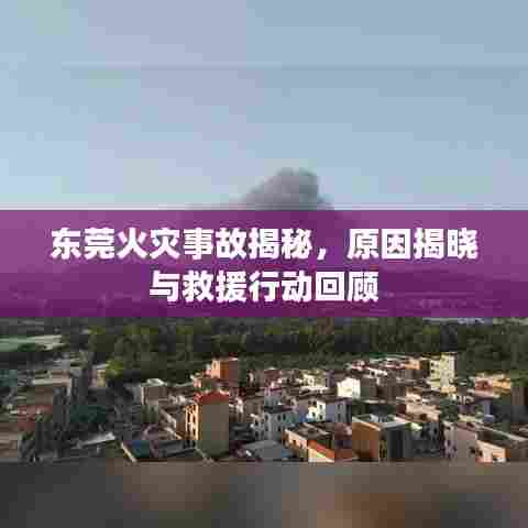 东莞火灾事故揭秘，原因揭晓与救援行动回顾