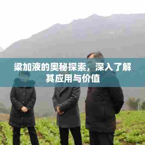 粱加液的奥秘探索，深入了解其应用与价值