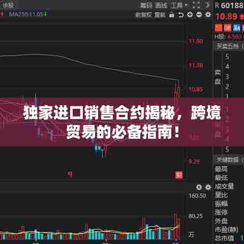 独家进口销售合约揭秘，跨境贸易的必备指南！