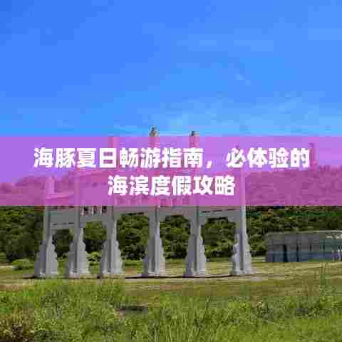 海豚夏日畅游指南，必体验的海滨度假攻略