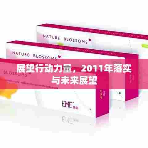 展望行动力量,2011年落实与未来展望