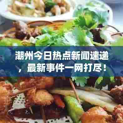 潮州今日热点新闻速递，最新事件一网打尽！