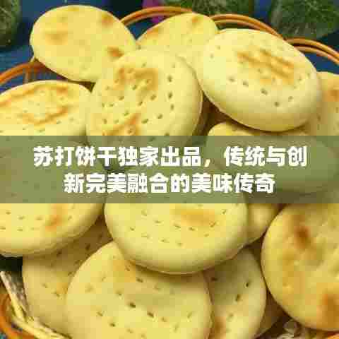 苏打饼干独家出品，传统与创新完美融合的美味传奇