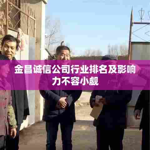 金昌诚信公司行业排名及影响力不容小觑