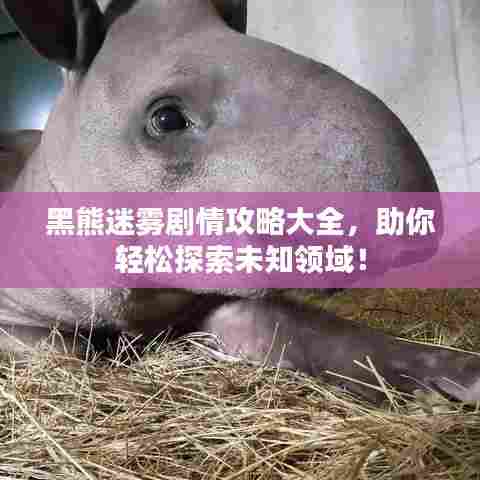 黑熊迷雾剧情攻略大全，助你轻松探索未知领域！