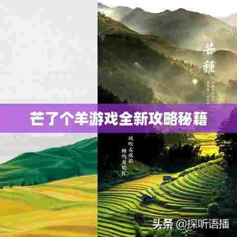 芒了个羊游戏全新攻略秘籍