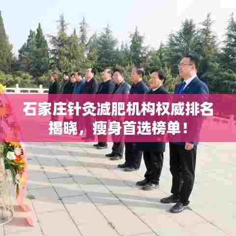 石家庄针灸减肥机构权威排名揭晓，瘦身首选榜单！