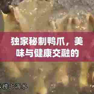 独家秘制鸭爪，美味与健康交融的艺术佳肴