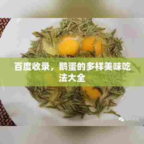 百度收录，鹅蛋的多样美味吃法大全