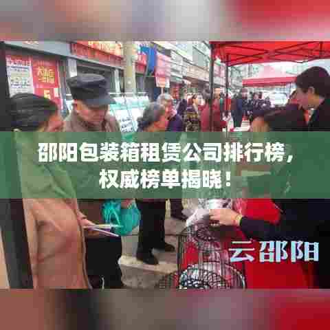 邵阳包装箱租赁公司排行榜，权威榜单揭晓！