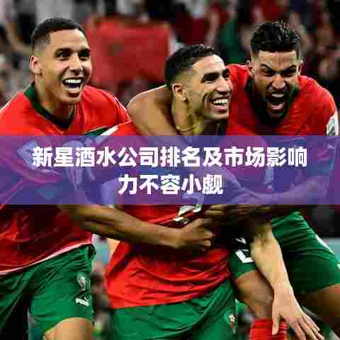 新星酒水公司排名及市场影响力不容小觑