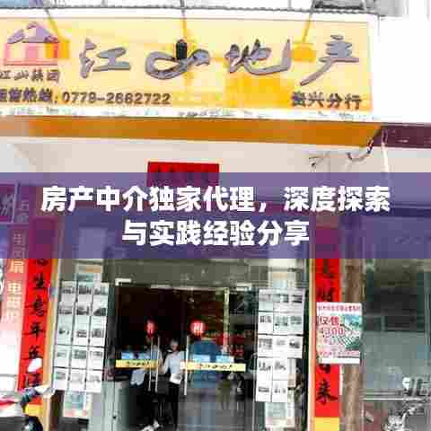 房产中介独家代理，深度探索与实践经验分享