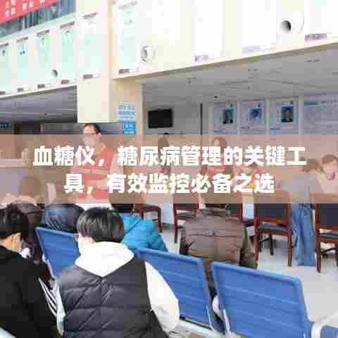 血糖仪，糖尿病管理的关键工具，有效监控必备之选