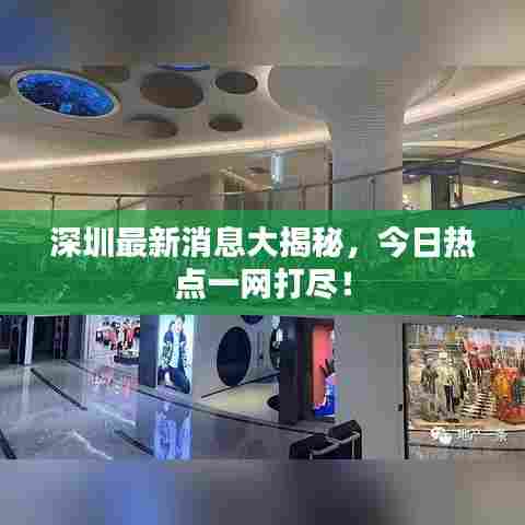 深圳最新消息大揭秘，今日热点一网打尽！