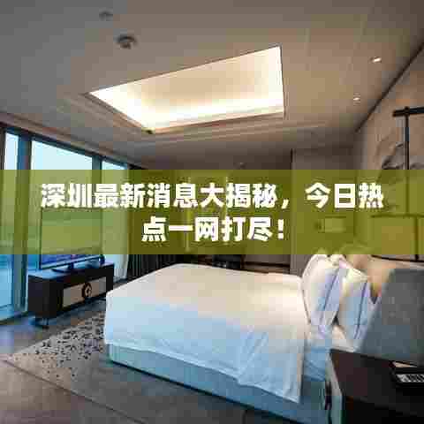 深圳最新消息大揭秘,今日热点一网打尽!