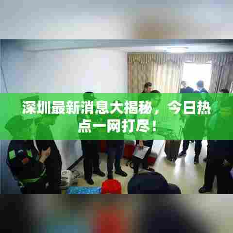 深圳最新消息大揭秘,今日热点一网打尽!