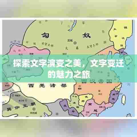 探索文字演变之美，文字变迁的魅力之旅
