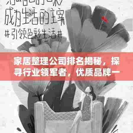 家居整理公司排名揭秘，探寻行业领军者，优质品牌一览无余！