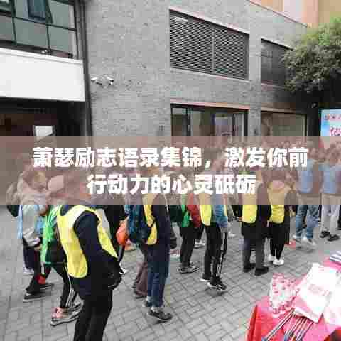 萧瑟励志语录集锦，激发你前行动力的心灵砥砺