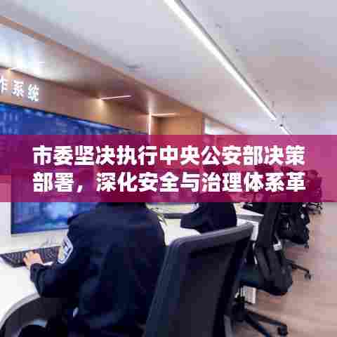 市委坚决执行中央公安部决策部署，深化安全与治理体系革新