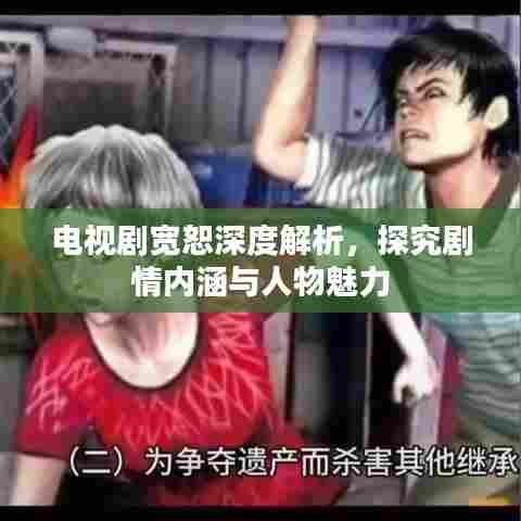 电视剧宽恕深度解析，探究剧情内涵与人物魅力