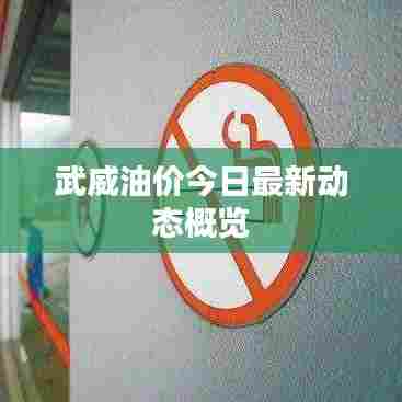 武威油价今日最新动态概览