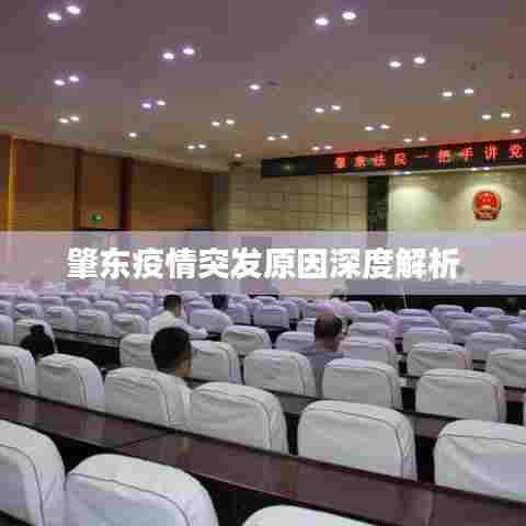 肇东疫情突发原因深度解析